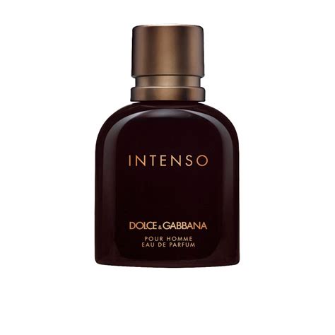 intenso dolce gabbana prix|Dolce & Gabbana only one intense.